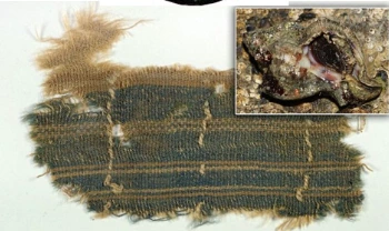Shred of Tchellet-Dyed Wool found in Dead Sea Caves
